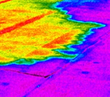quick roof and building moisture surveys by ema